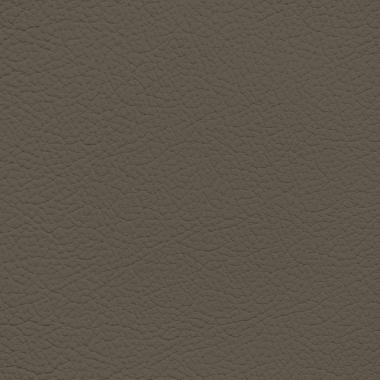 Lexus Medium Taupe Leather Dye