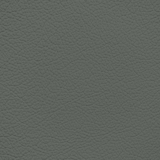 Ford/Lincoln/Mercury Medium Willow Leather Dye