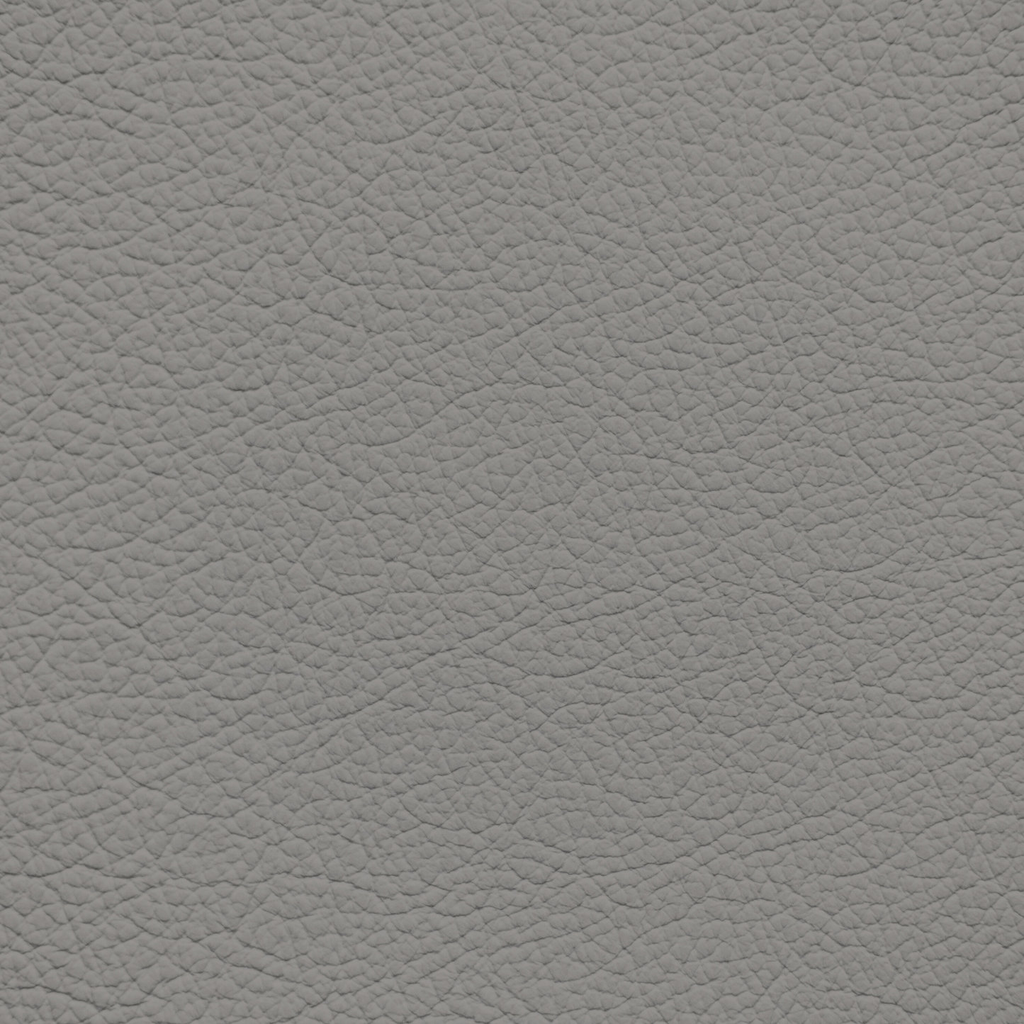 Ford/Lincoln/Mercury Medium Earth Gray Leather Dye