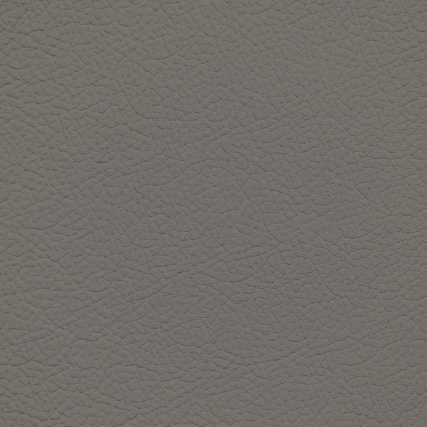 Porsche Medium Grey Leather Dye