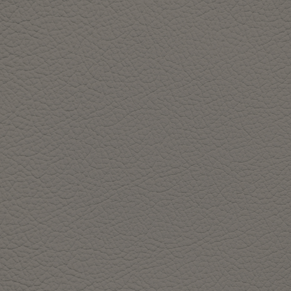 Porsche Medium Grey Leather Dye