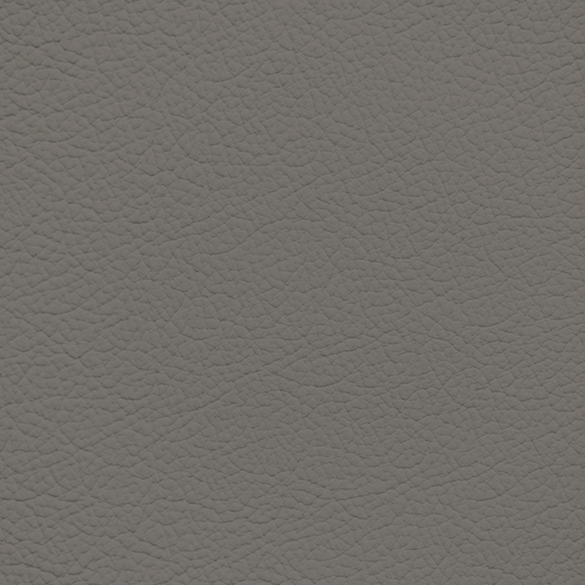 Porsche Medium Grey Leather Dye