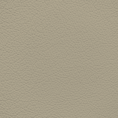 Mazda/Mitsubishi Medium Pebble Leather Dye