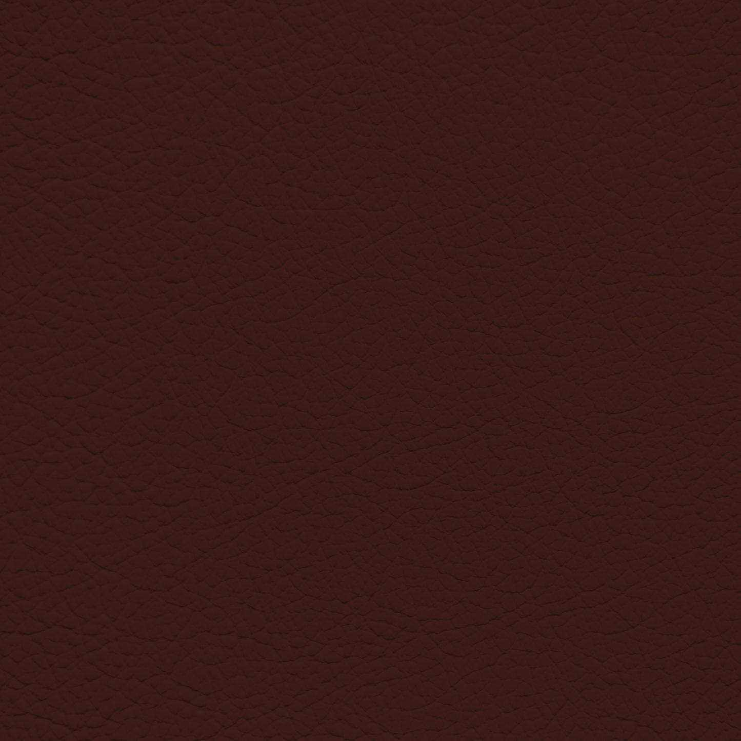 Audi Merlot Red Leather Dye