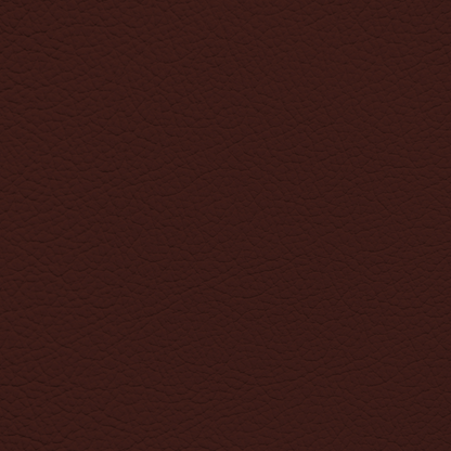 Audi Merlot Red Leather Dye