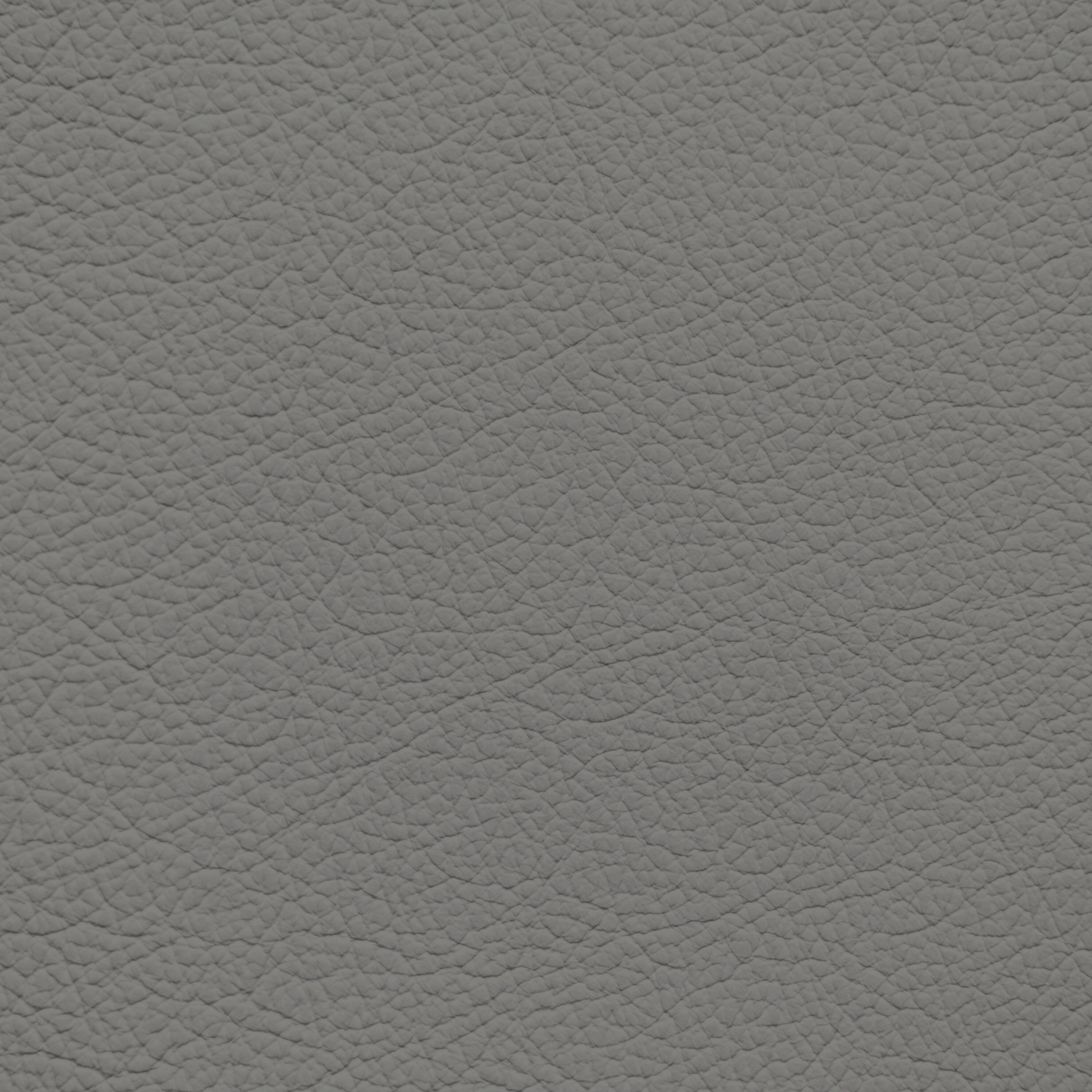 Audi Metro Gray Leather Dye