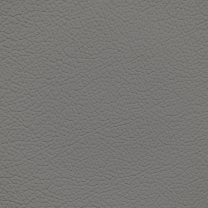 Audi Metro Gray Leather Dye