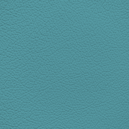 Porsche Miami Blue Leather Dye