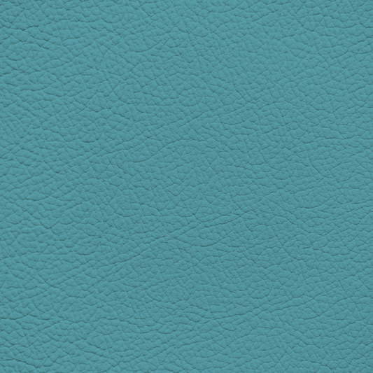 Porsche Miami Blue Leather Dye