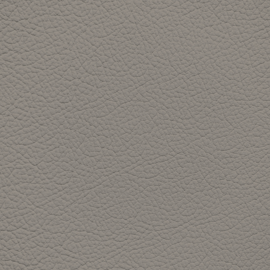 Nissan Mink Leather Dye
