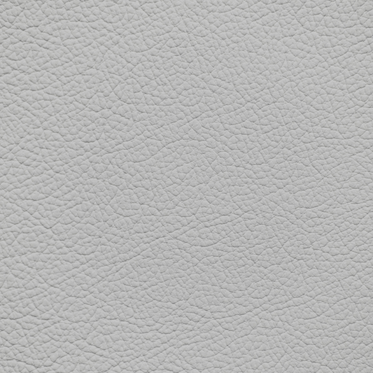 Lexus Mist Gray Leather Dye