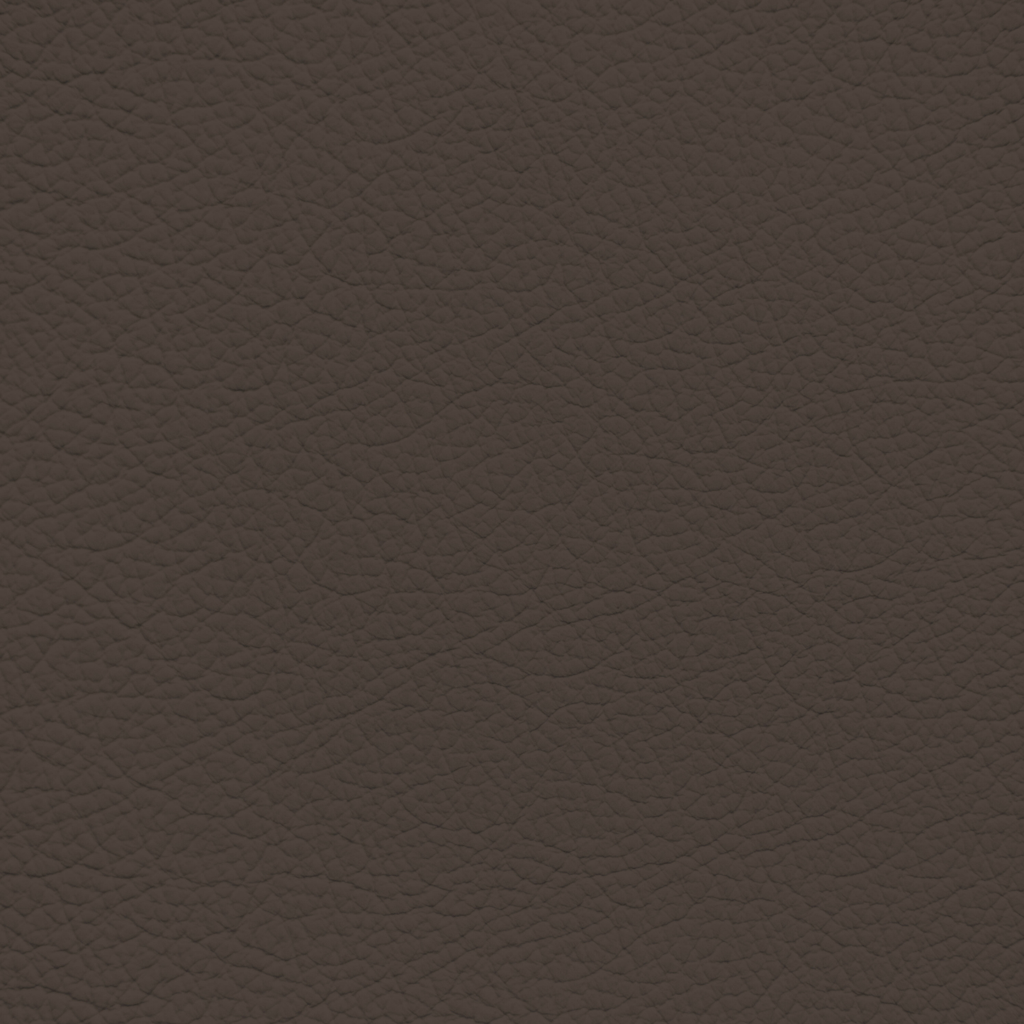 Mercedes Mocha Brown Leather Dye