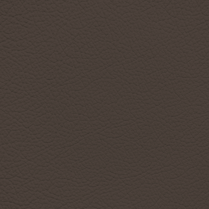 Mercedes Mocha Brown Leather Dye