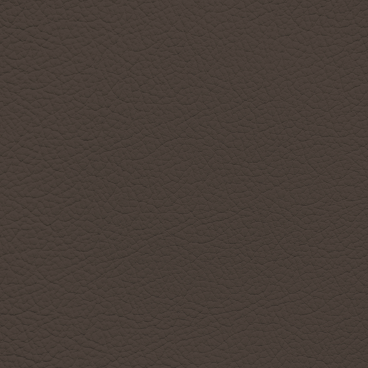 Mercedes Mocha Brown Leather Dye