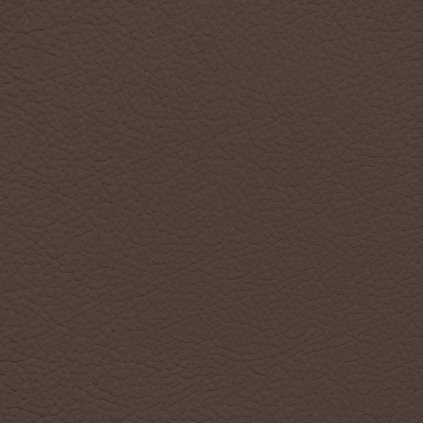Infiniti Mocha Leather Dye