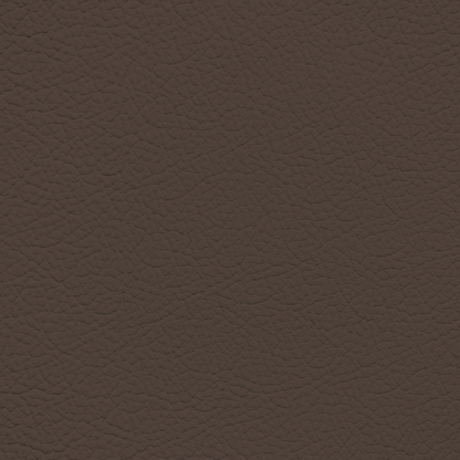 Infiniti Mocha Leather Dye