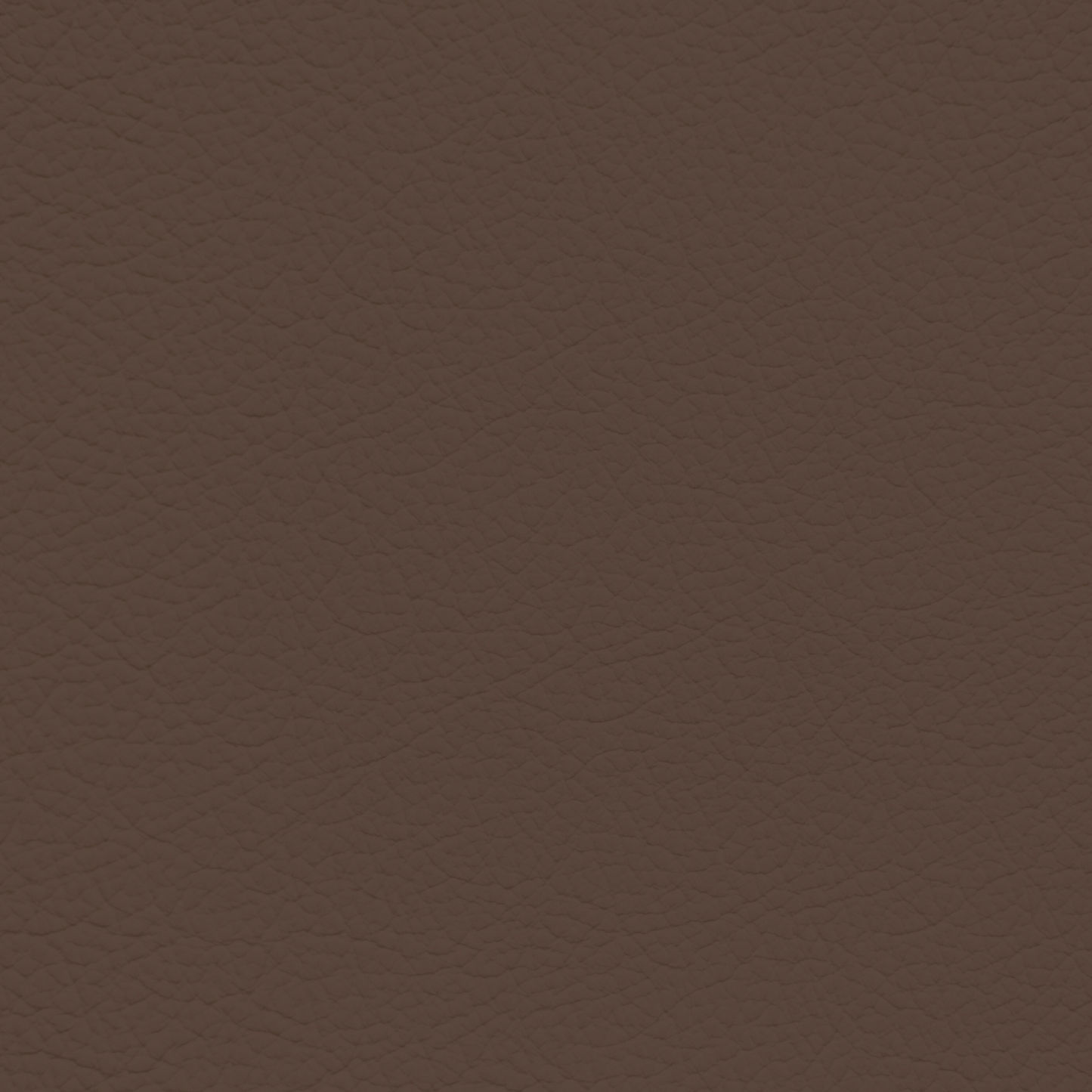 GM Mocha Leather Dye