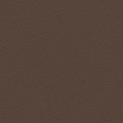 GM Mocha Leather Dye