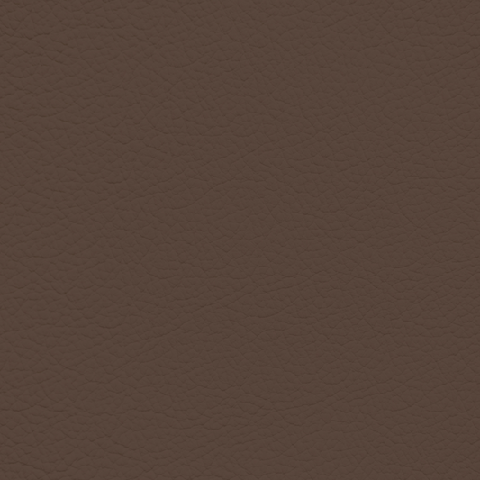 GM Mocha Leather Dye