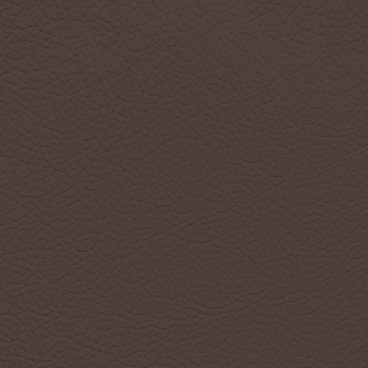 Nissan Mocha Leather Dye