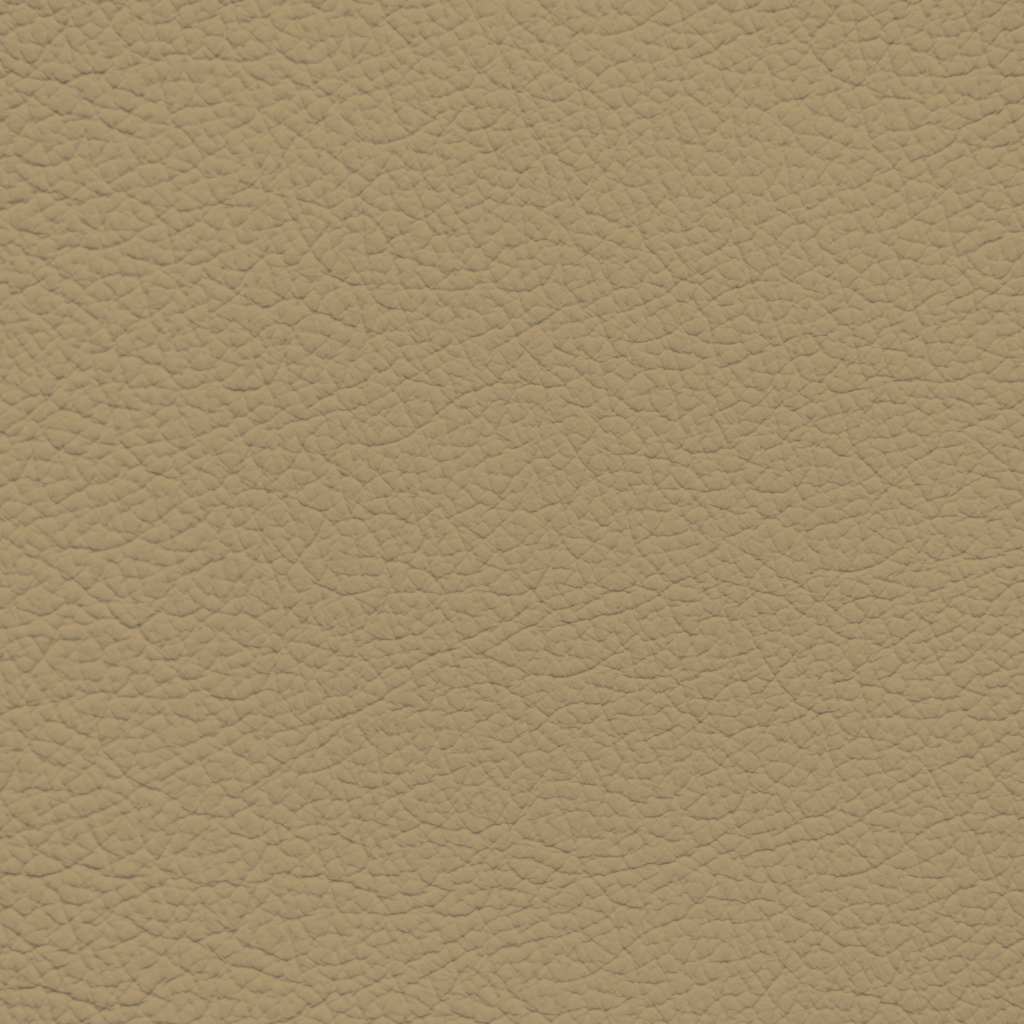 Porsche Mojave Leather Dye