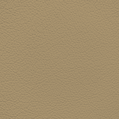 Porsche Mojave Leather Dye