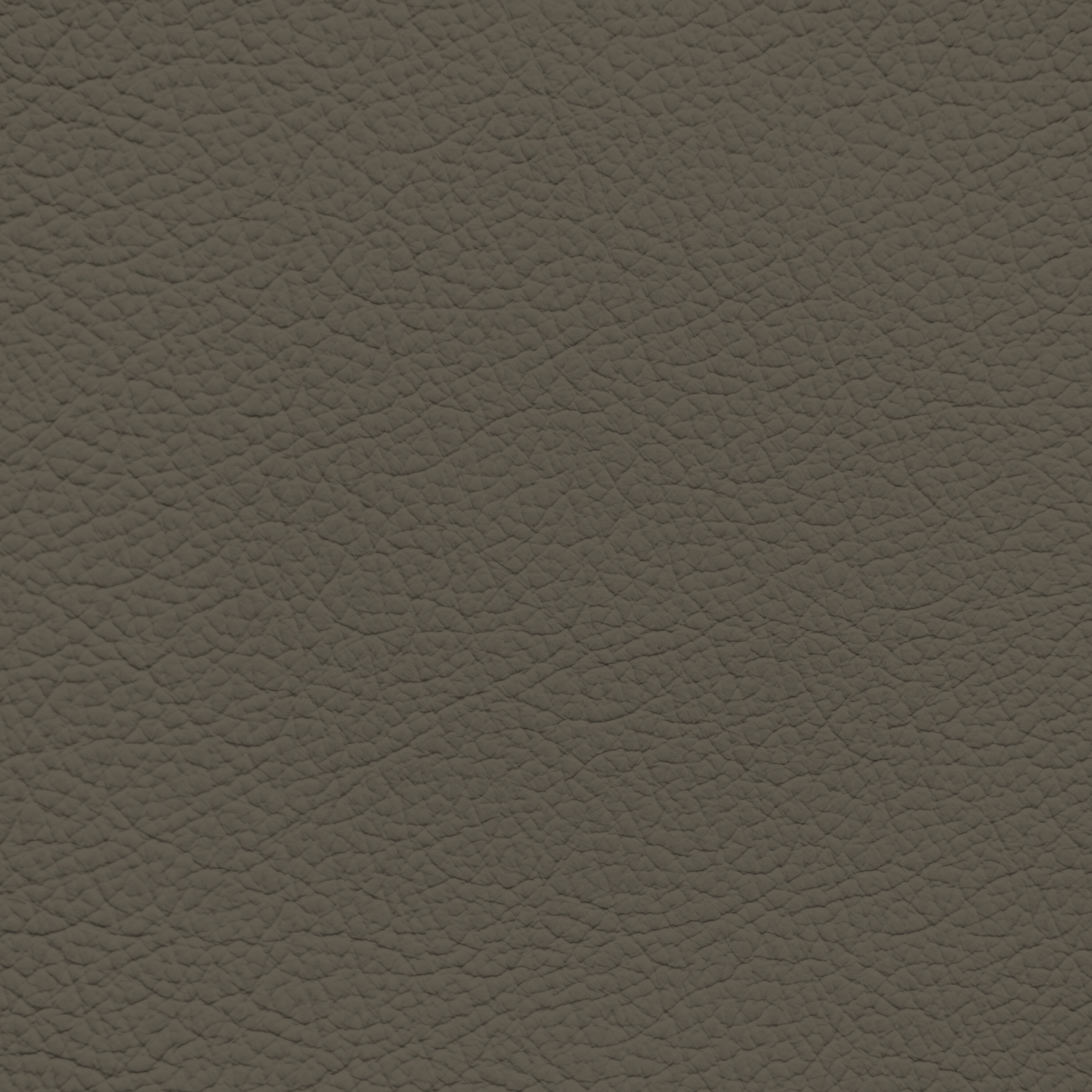 Ford/Lincoln/Mercury Moss Leather Dye