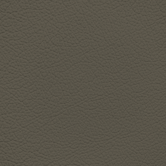 Ford/Lincoln/Mercury Moss Leather Dye