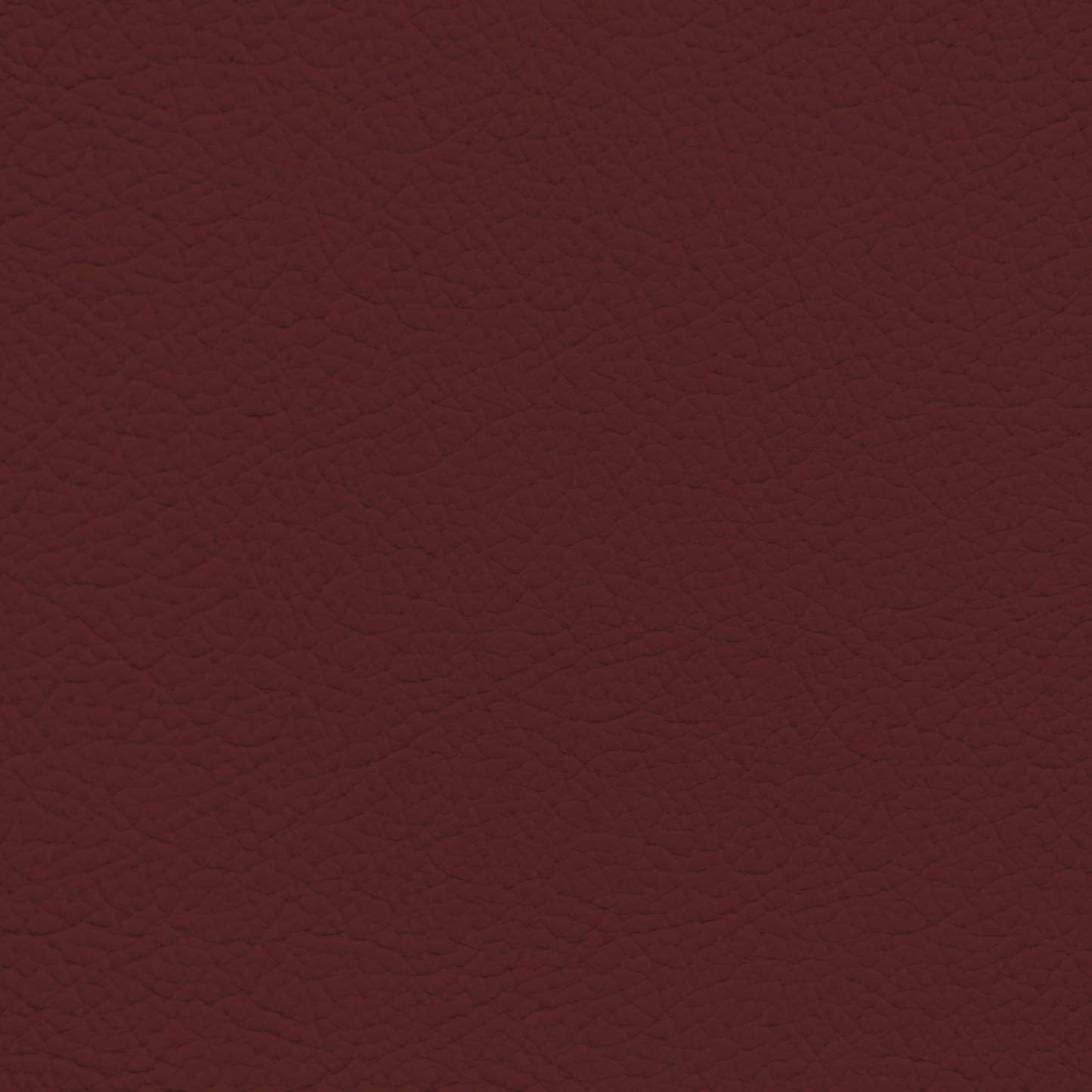 Mercedes Mulberry Leather Dye
