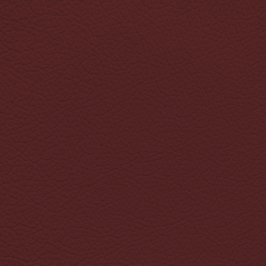 Mercedes Mulberry Leather Dye