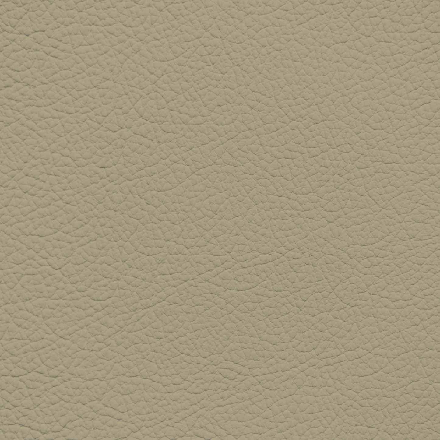 Mercedes Mushroom Leather Dye