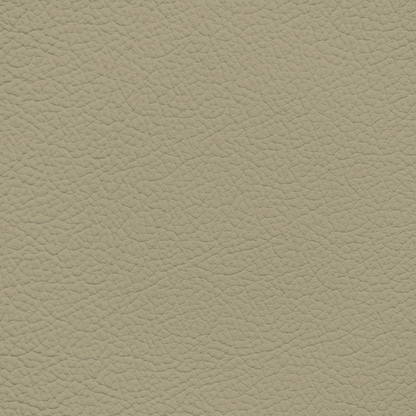 Mercedes Mushroom Leather Dye