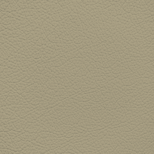 Mercedes Mushroom Leather Dye
