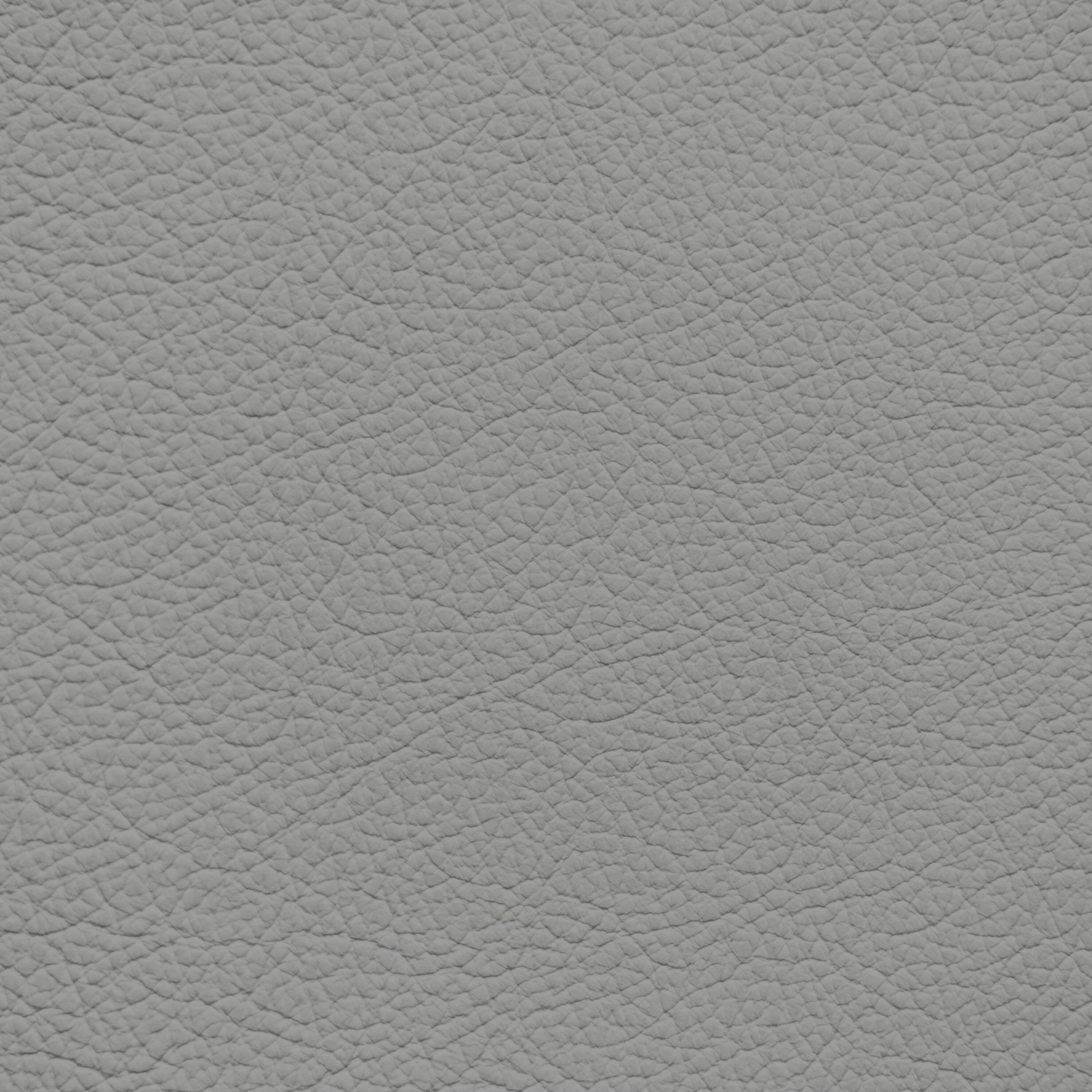 Ford/Lincoln/Mercury Mustang SSC Gray Leather Dye
