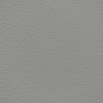 Ford/Lincoln/Mercury Mustang SSC Gray Leather Dye