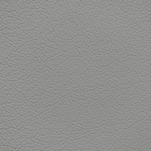 Ford/Lincoln/Mercury Mustang SSC Gray Leather Dye