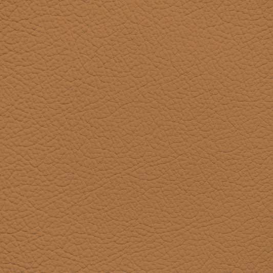 Mercedes Natural Beige Leather Dye