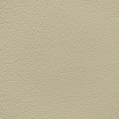 Chrysler/Dodge/Jeep/Plymouth Natural Beige Leather Dye