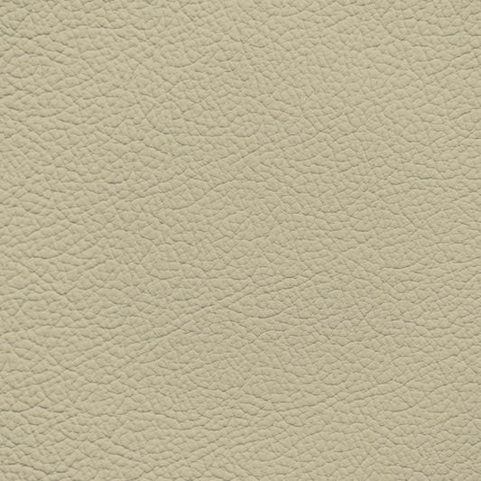 Chrysler/Dodge/Jeep/Plymouth Natural Beige Leather Dye