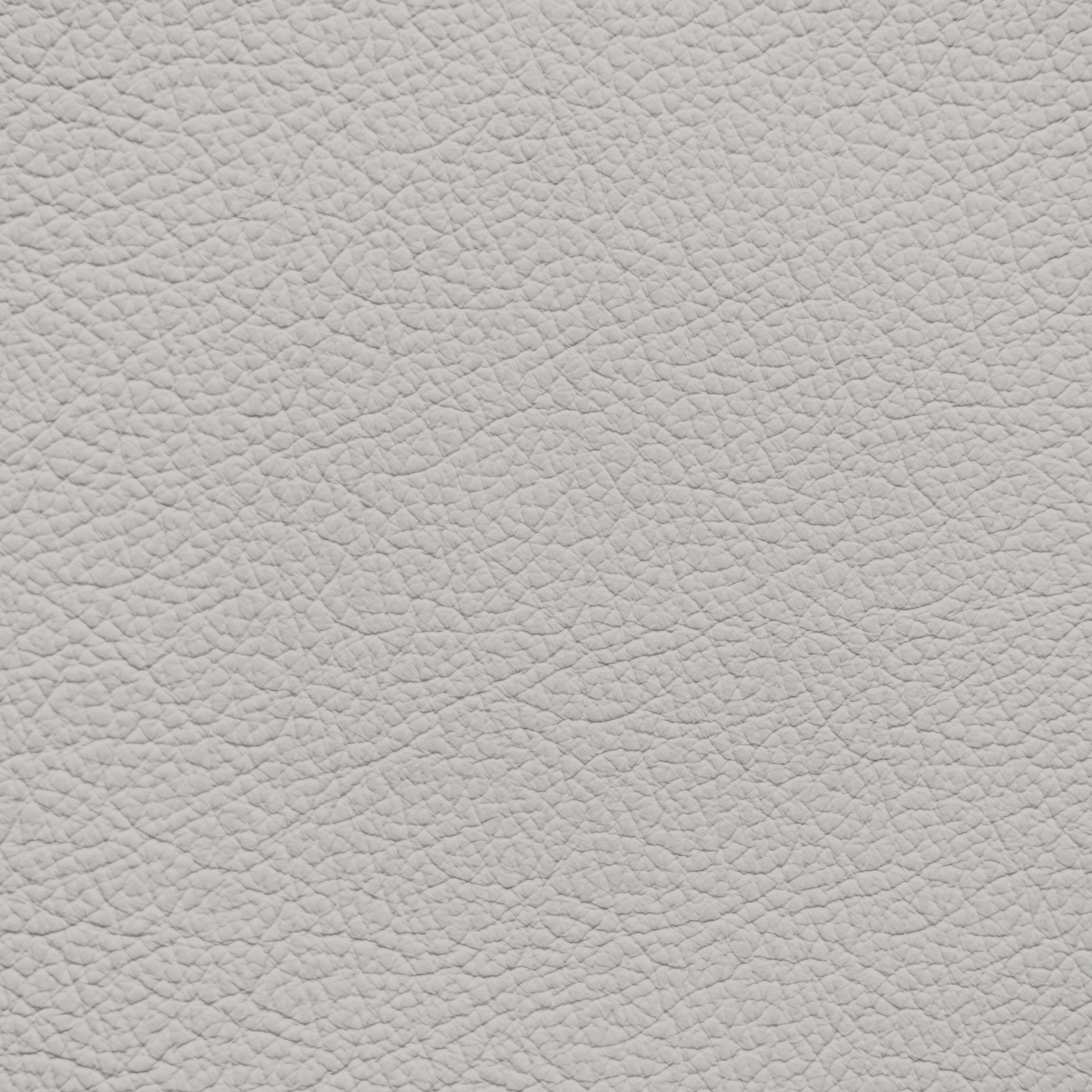 Lexus Neutral Gray Leather Dye