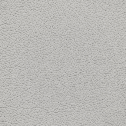 Lexus Neutral Gray Leather Dye
