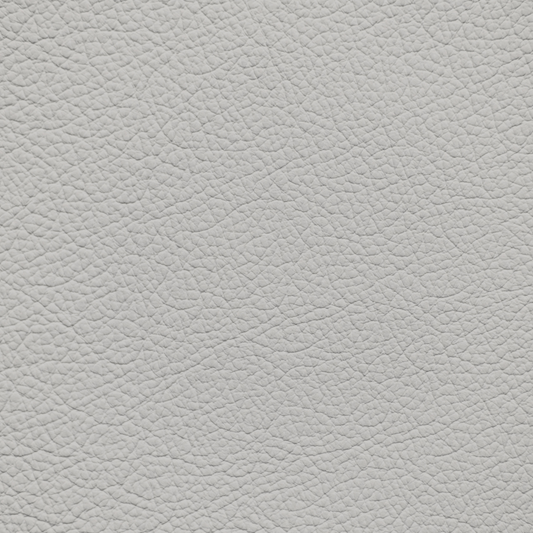 Lexus Neutral Gray Leather Dye