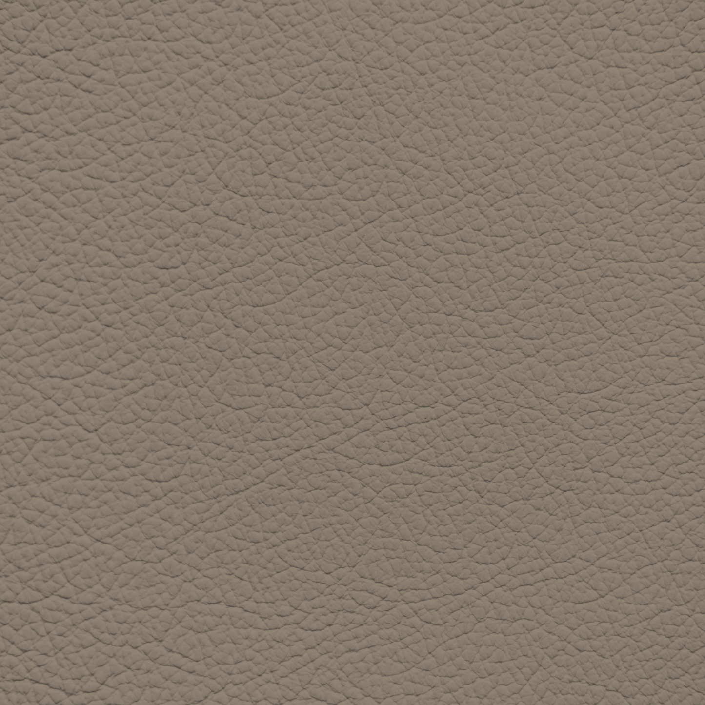Volkswagen Neutral Leather Dye