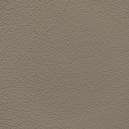 Volkswagen Neutral Leather Dye