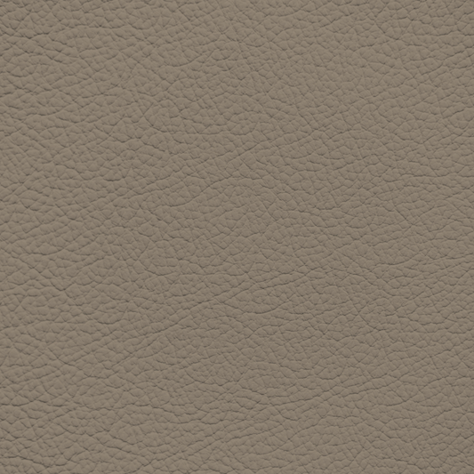 Volkswagen Neutral Leather Dye