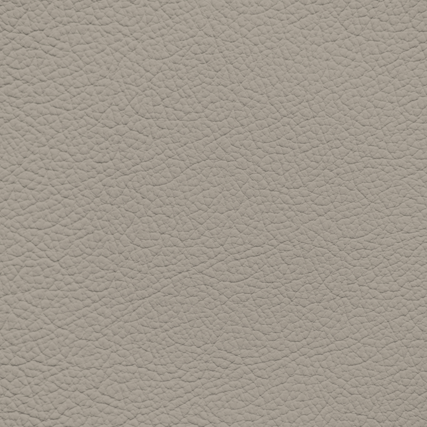 Mercedes New Almond Leather Dye