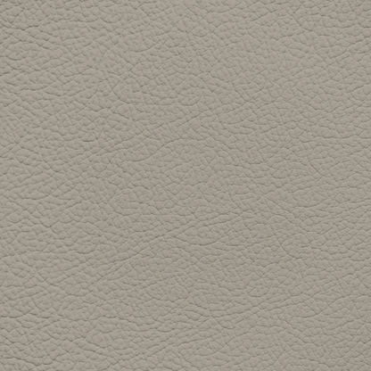 Mercedes New Almond Leather Dye