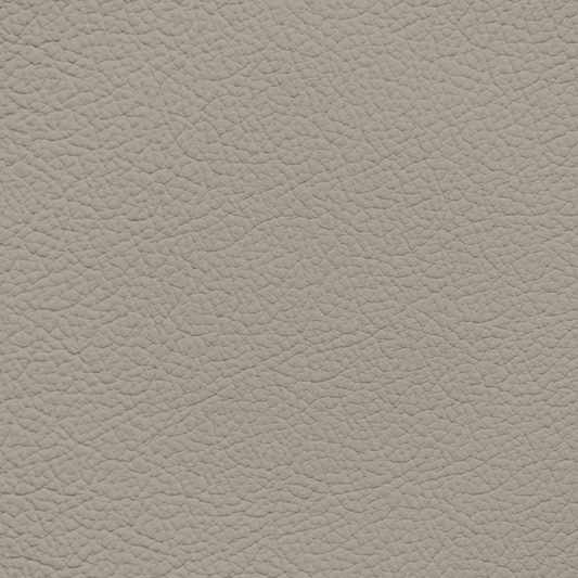 Mercedes New Almond Leather Dye