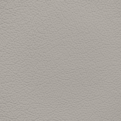 Infiniti New Beige Leather Dye