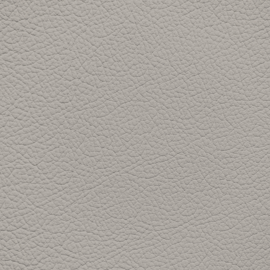 Nissan New Beige Leather Dye